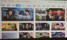 天天都市网友爆料新闻最新,天天都市惊现神秘事件，真相令人震惊！