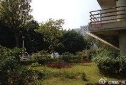广州大学城爆料事件最新,揭秘校园疑云背后的真相