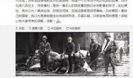 中山八卦爆料事件始末最新消息,最新进展与幕后真相揭秘