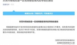 东莞爆料最新消息今天,突发事件引发关注，详情即将揭晓！