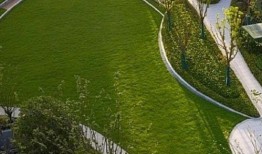 临平公园爆料最新消息视频,视频揭秘公园神秘事件