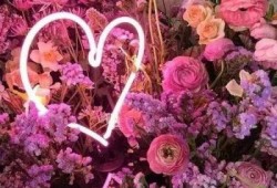 2023花之日最新爆料,最新爆料带你领略花卉盛宴