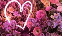 2023花之日最新爆料,最新爆料带你领略花卉盛宴