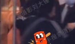 刘大锤最新爆料消息今天,今日热点事件深度解析
